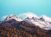 开云体育网址-朱婷李盈莹背靠背展现良好状态 默契配合盘活进攻